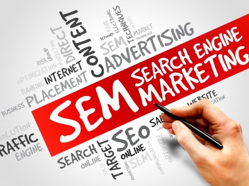 case studies search engine marketing